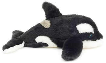 Orca - 'Uni-Toys Eco-Line' - Matériau 100% recyclé - 25 cm (longueur) - Mots clés : animal aquatique, baleine, peluche, peluche, peluche, peluche 3