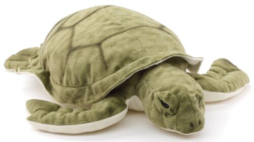 Grüne Meeresschildkröte - 55 cm (Länge) - Keywords: Wassertier, Schildkröte, Plüsch, Plüschtier, Stofftier, Kuscheltier