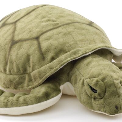 Tartaruga marina verde - 55 cm (lunghezza) - Parole chiave: animale acquatico, tartaruga, peluche, peluche, animale di peluche, peluche
