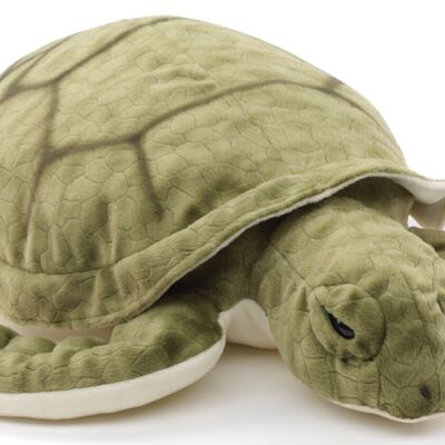 Tortue de mer verte - 55 cm (longueur) - Mots clés : animal aquatique, tortue, peluche, peluche, peluche, peluche