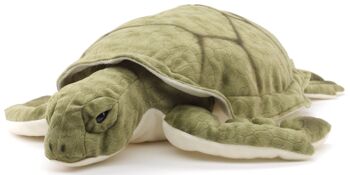 Tortue de mer verte - 55 cm (longueur) - Mots clés : animal aquatique, tortue, peluche, peluche, peluche, peluche 2