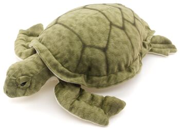 Tortue de mer verte - 55 cm (longueur) - Mots clés : animal aquatique, tortue, peluche, peluche, peluche, peluche 3