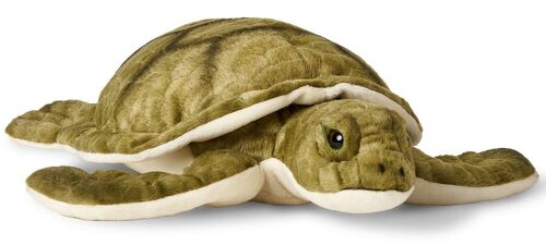Grüne Meeresschildkröte - 34 cm (Länge) - Keywords: Wassertier, Schildkröte, Plüsch, Plüschtier, Stofftier, Kuscheltier