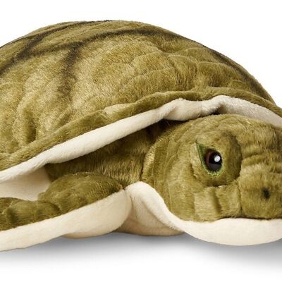 Tortuga marina verde - 34 cm (largo) - Palabras clave: animal acuático, tortuga, peluche, peluche, animal de peluche, peluche