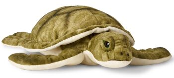 Tortue de mer verte - 34 cm (longueur) - Mots clés : animal aquatique, tortue, peluche, peluche, peluche, peluche 1