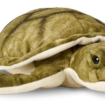 Tartaruga marina verde - 34 cm (lunghezza) - Parole chiave: animale acquatico, tartaruga, peluche, peluche, animale di peluche, peluche