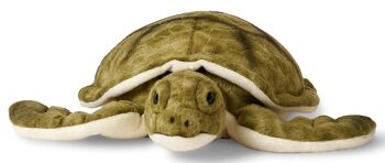 Tortue de mer verte - 34 cm (longueur) - Mots clés : animal aquatique, tortue, peluche, peluche, peluche, peluche 2