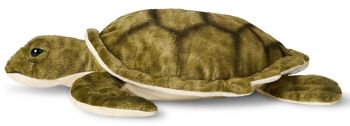 Tortue de mer verte - 34 cm (longueur) - Mots clés : animal aquatique, tortue, peluche, peluche, peluche, peluche 3