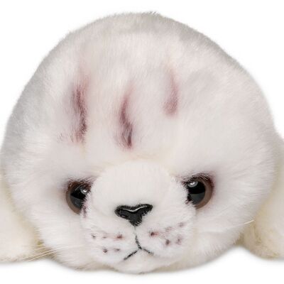 Bébé phoque (blanc) - 20 cm (longueur) - Mots clés : animal aquatique, phoque, phoque, peluche, peluche, peluche, peluche