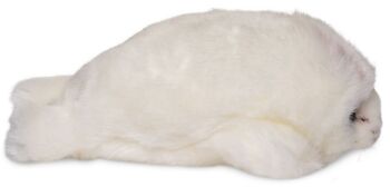 Bébé phoque (blanc) - 20 cm (longueur) - Mots clés : animal aquatique, phoque, phoque, peluche, peluche, peluche, peluche 3