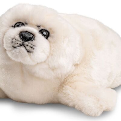 Foca blanca - 36 cm (largo) - Palabras clave: animal acuático, foca, peluche, peluche, animal de peluche, peluche