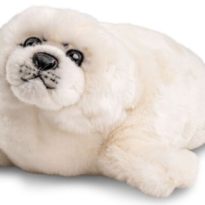 Phoque blanc - 36 cm (longueur) - Mots clés : animal aquatique, phoque, peluche, peluche, peluche, peluche