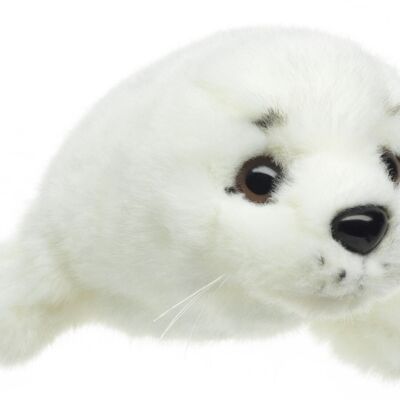 Bebé de foca arpa (blanco) - 21 cm (largo) - Palabras clave: animal acuático, foca, foca, peluche, peluche, animal de peluche, peluche