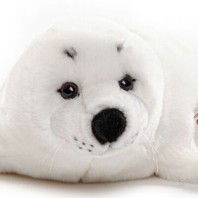 Foca bianca - 46 cm (lunghezza) - Parole chiave: animale acquatico, foca, peluche, peluche, animale di peluche, peluche