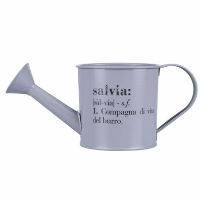 Gray seedling holder, watering can design, Victionary Salvia