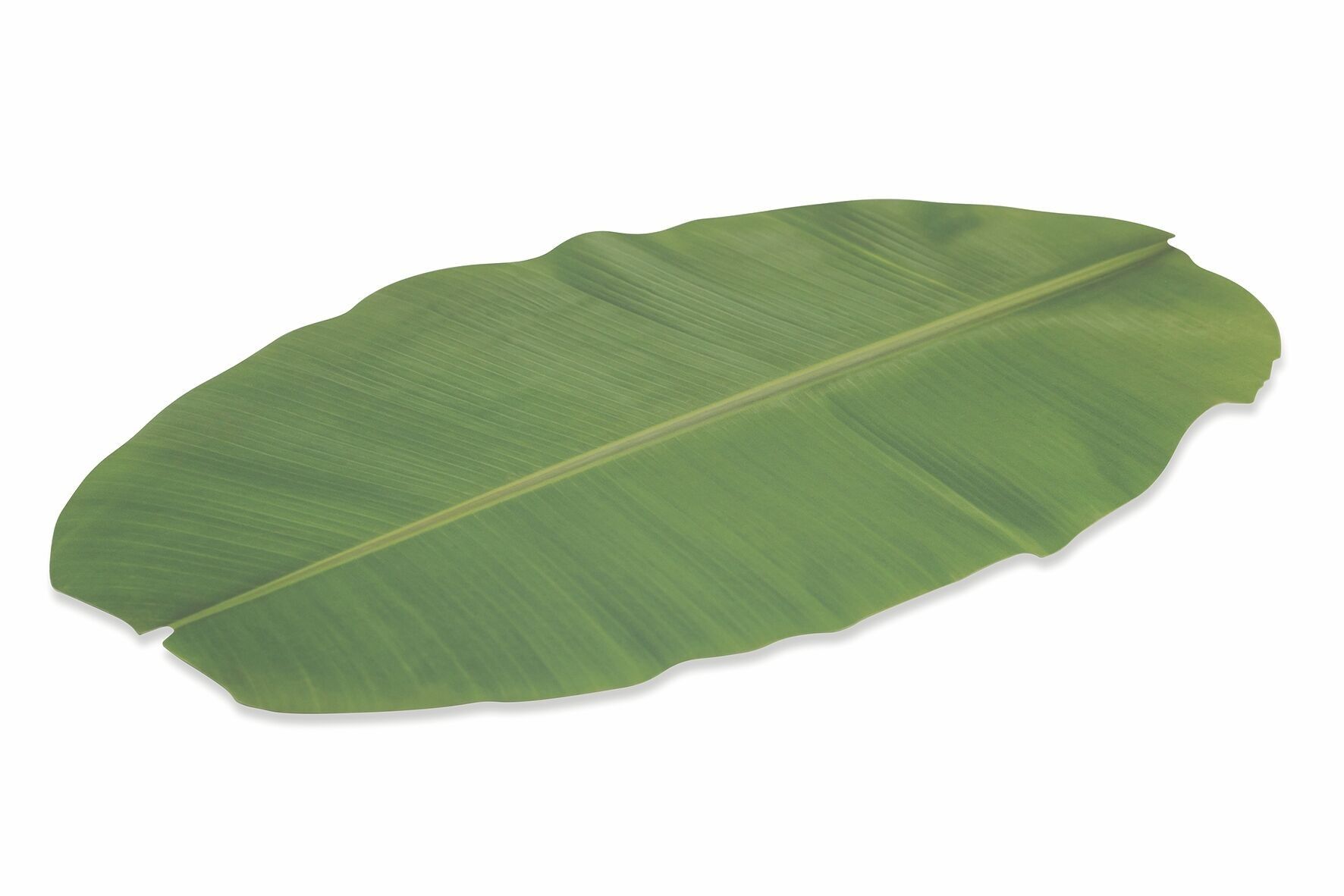 Set de table vert feuille de bananier, Urban Jungle