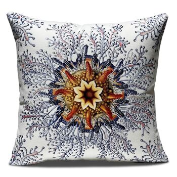 Coussin Haeckel 45 × 45 cm 2