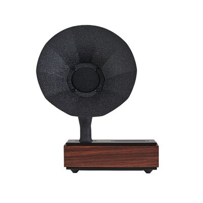 Haut-parleur acoustique Acoustibox Moka