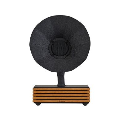Acoustibox Oak Bluetooth Speaker