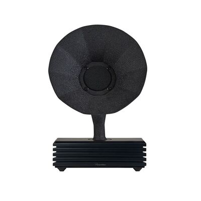 Acoustibox Pitch Black Bluetooth-Lautsprecher