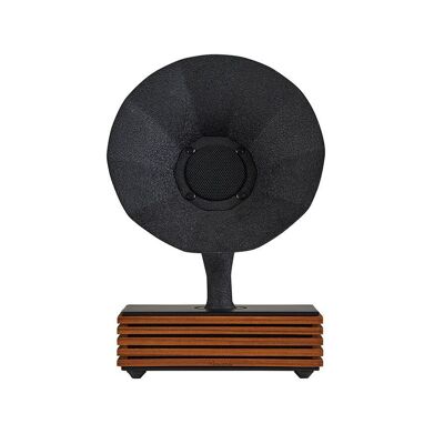 Altoparlante Bluetooth Acoustibox in noce