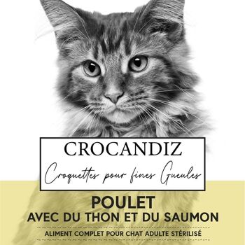 Croquettes pour chat au poulet 1