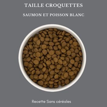 Croquettes pour chat au Saumon 2