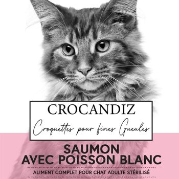 Croquettes pour chat au Saumon 6