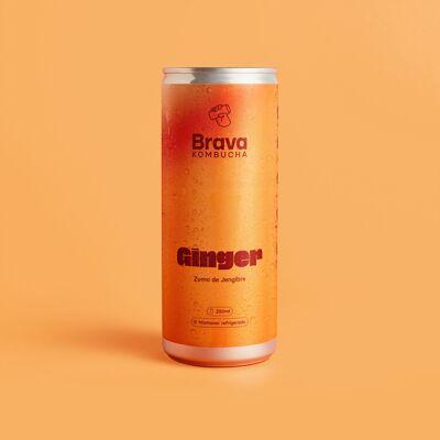 Brava Ginger: premium kombucha