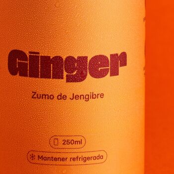Brava Ginger : kombucha premium 2