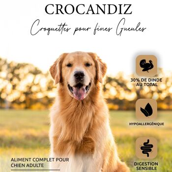 Croquettes Grand chien Dinde 1