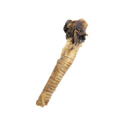 Niki Natural Barf Buffalo Trachea Snack for Dogs