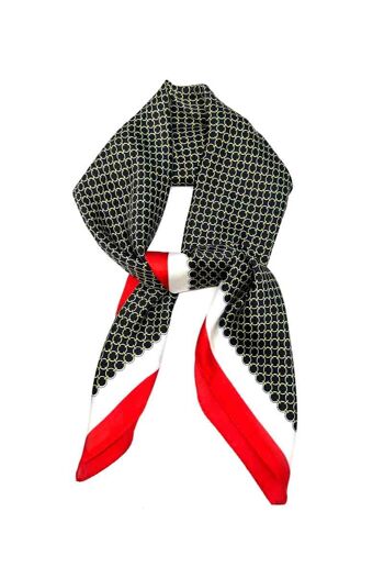 Foulard touche soie 70x70 D-106 4