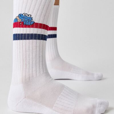 BeSesameStreet Street Cookie Monster - 100% Organic Cotton Socks