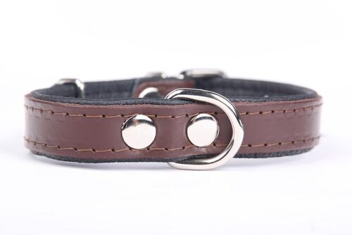 Hillfoot classic collar brown small