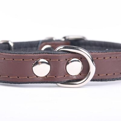 Hillfoot classic collar brown small