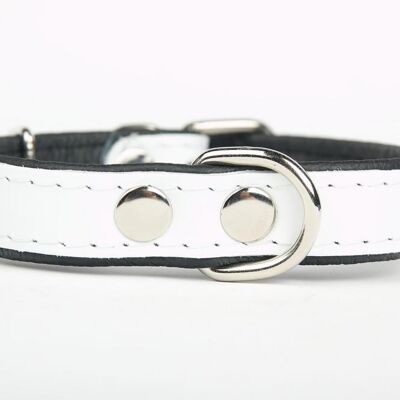 Hillfoot classic collar white small
