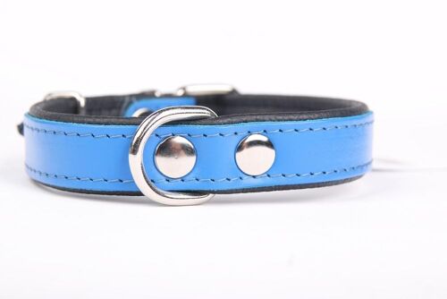 Hillfoot classic collar blue small