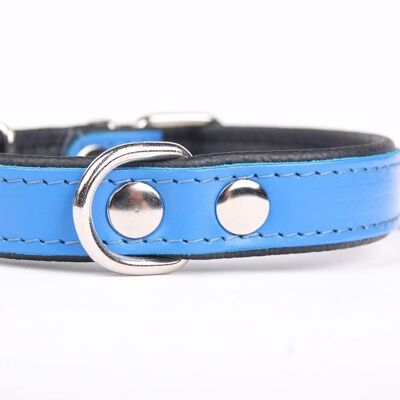 Hillfoot classic collar blue small