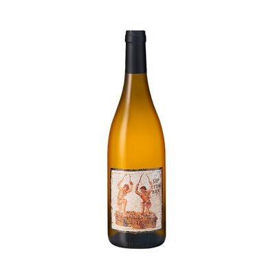 Vin blanc - Domaine De L’Ecu – Janus – 2020 - 75cL