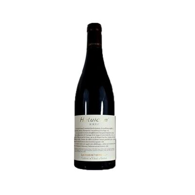 Vin rouge - Les Vins De Vienne – Héluicum – 2021 - 75cL