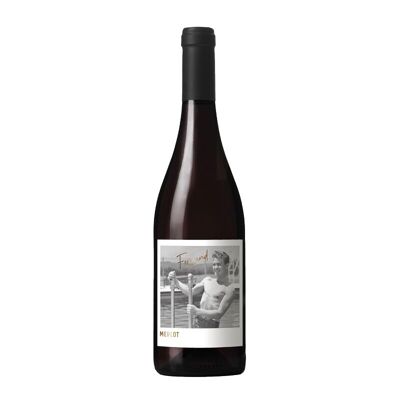 Vin rouge - Famille Fabre Gouyric – Fernand – 2021 - 75cL