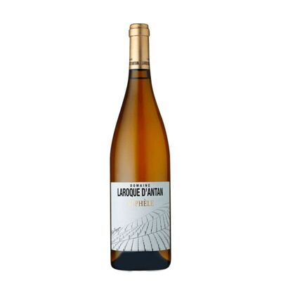 Vin blanc - Domaine Laroque D’Antan – Néphèle – 2020