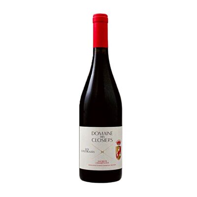 Vin rouge - Domaine Des Closiers – Les Coudraies Saumur Champigny – 2020 - 75cL