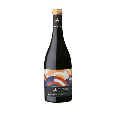 Vin rouge - Domaine de Galuval – Rasteau Les Collines – 2019 - 75cL