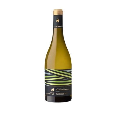 Vin blanc - Domaine de Galuval – Cairanne La Vallée – 2020 - 75cL