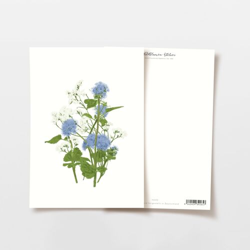 Postkarte Strandflieder Blumenstrauß blau weiß, FSC zertifiziert