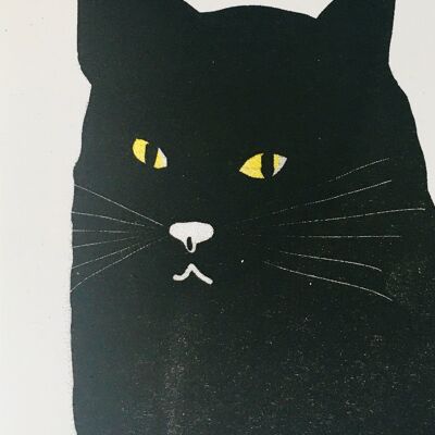 Carte chat noir