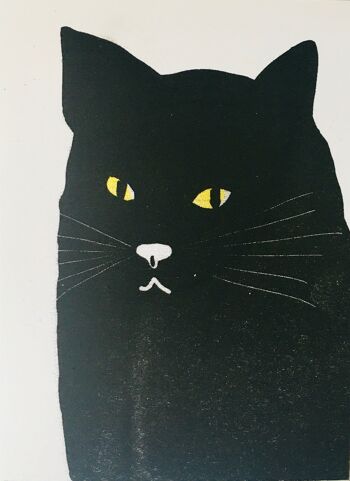 Carte chat noir