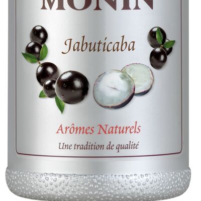 Le Fruit de Jabuticaba MONIN - Arômes naturels - 1L